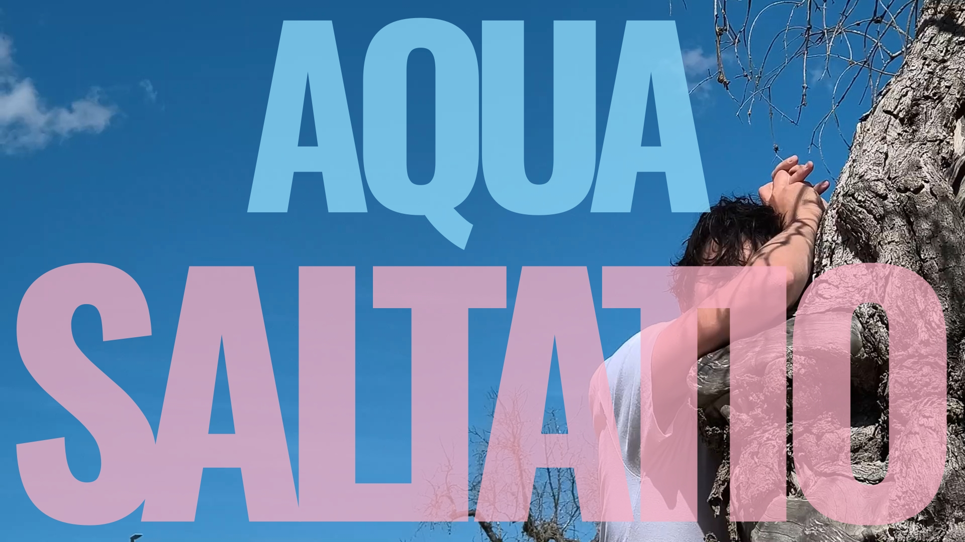 Aqua Saltatio