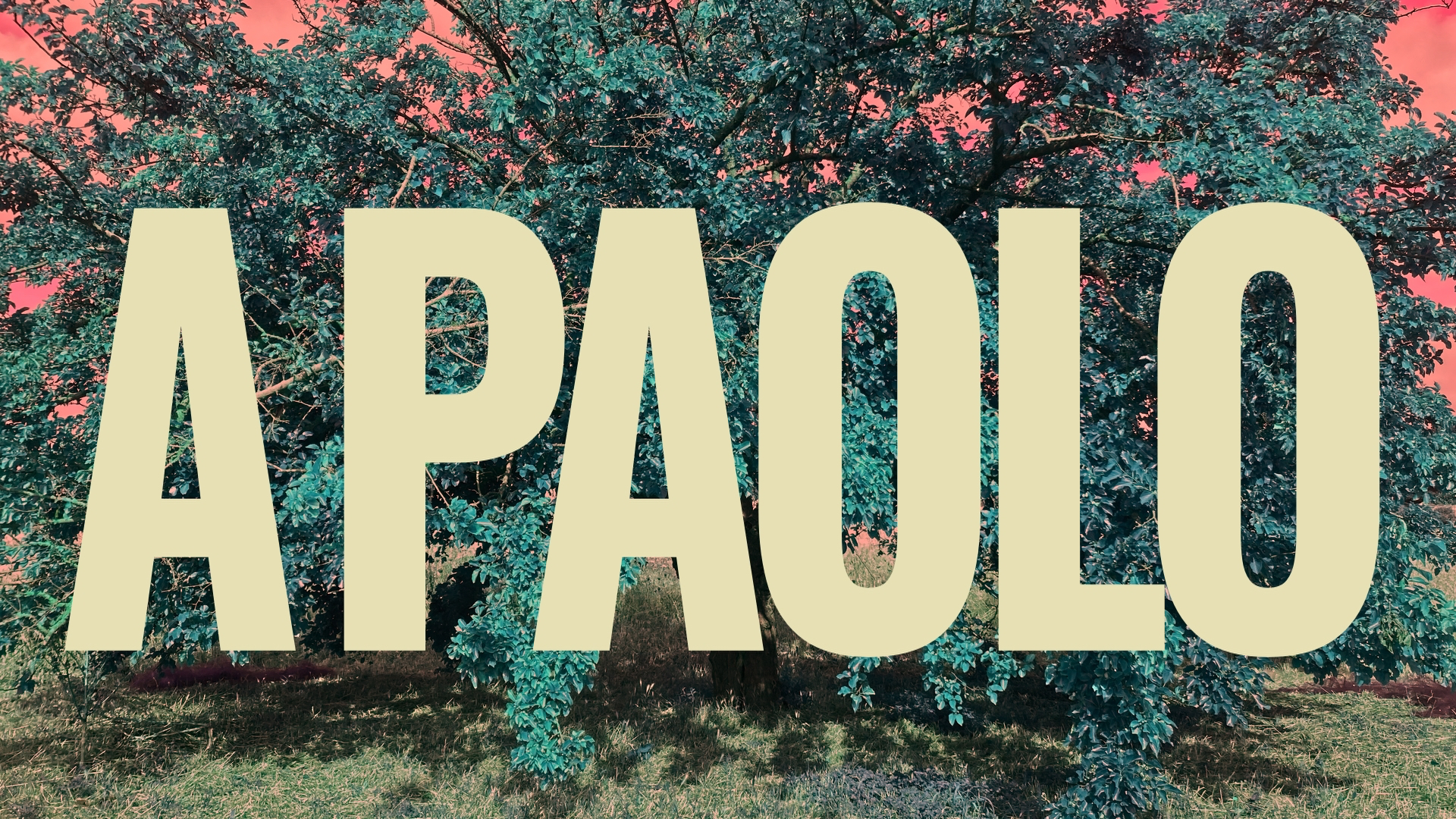 A Paolo